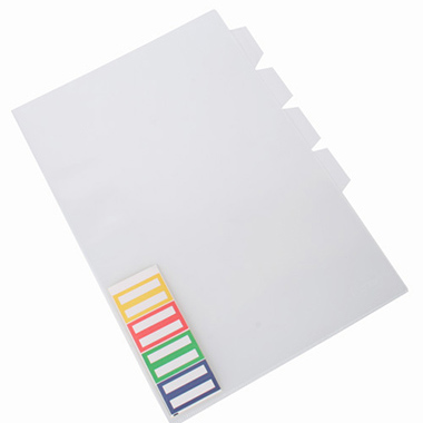 Dossier clasificador folio transparente