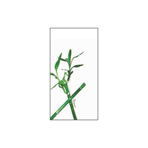 [3158013] Bobina 0.8 x 50 m 35 µm PP transparente decorado