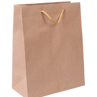 [3450011] Bolsa papel kraft 315 x 254 x 127 mm nature