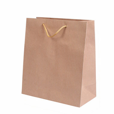 [3450021] Bolsa papel kraft 230 x 180 x 100 mm nature