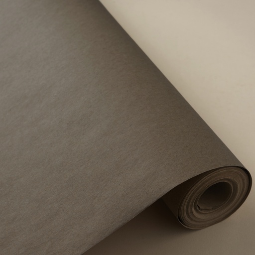 [3150192T] Bobina 31cm 2 kg 100% kraft reciclado plateado